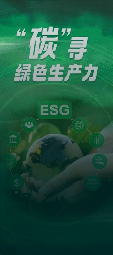双碳目标方案/ <br>技术路线制定
