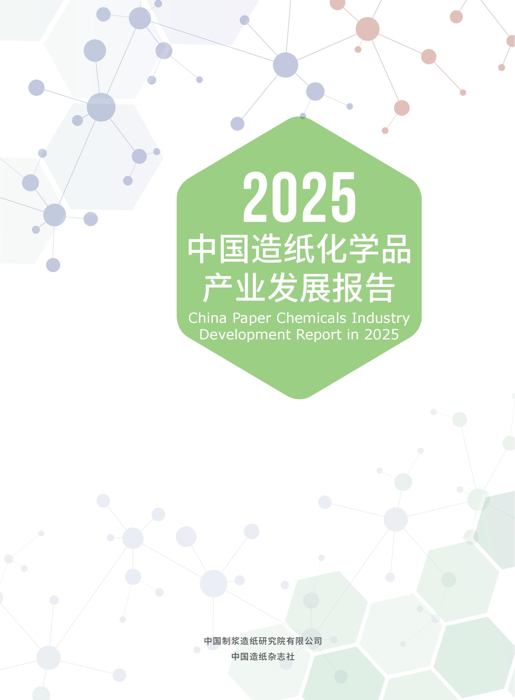 2025中国造纸化学品产业发展报告
