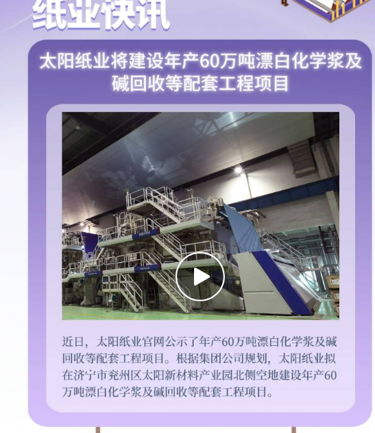 太阳纸业年产60万吨漂白化学浆及碱回收等配套工程项目环评第一次公示