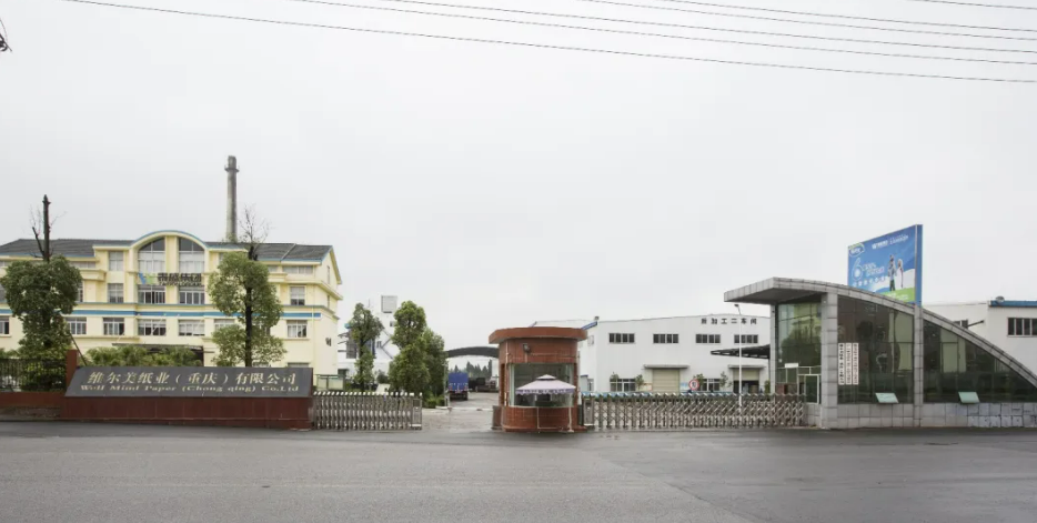 重庆市泰盛纸业拟建废纸再生浆造生活纸项目 合计年产能18万吨