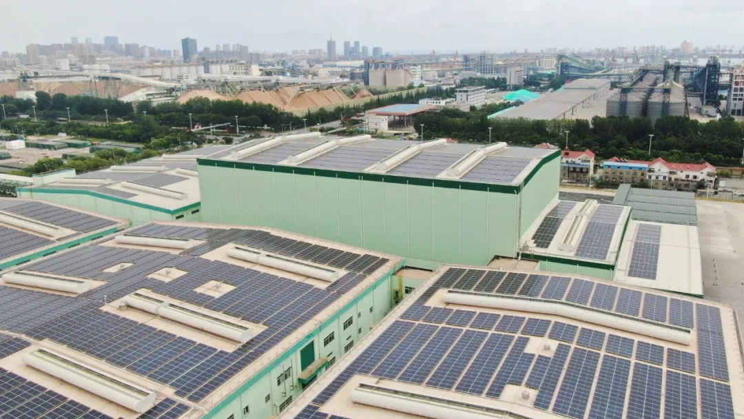 【项目】 亚太森博生活纸技改项目投产在即 总投资1.3亿元