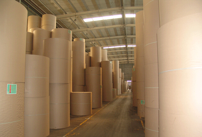 2025年1-8月造纸行业经济运行概况