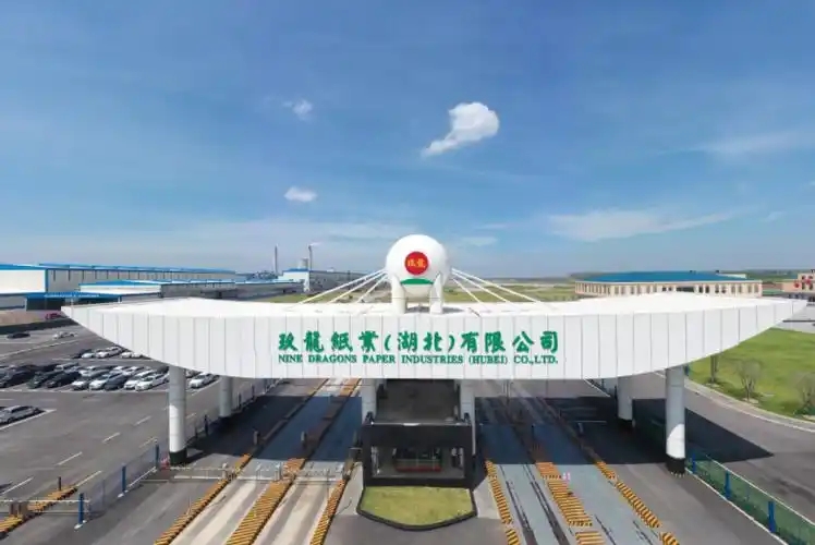 玖龙纸业委任孙宝源为独立非执行董事