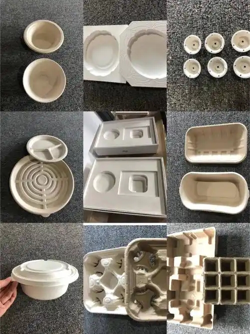 加拿大对中国纸浆模塑产品发起双反调查