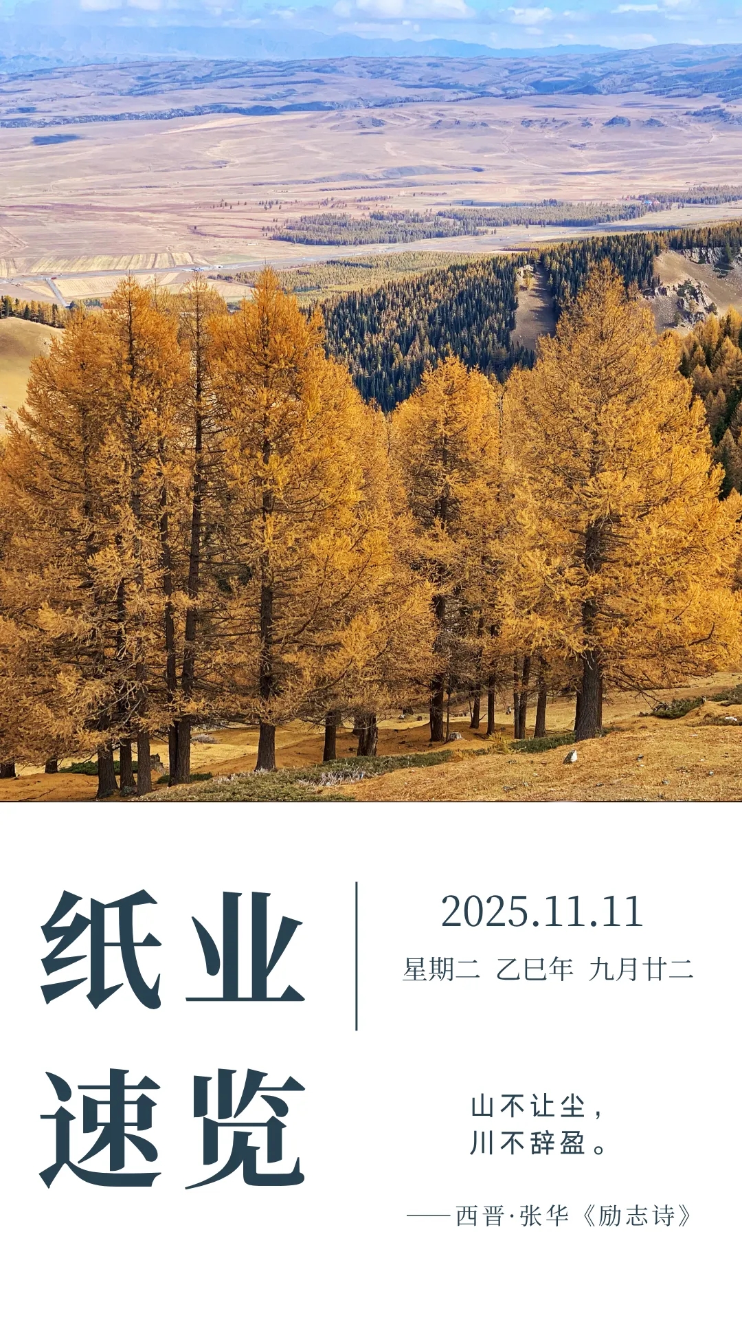 纸业速览（2025年11月4—11日）