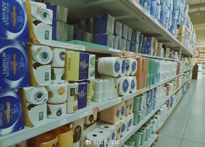 十五五规划影响下的生活用纸市场：未来五年市场容量或将继续扩大