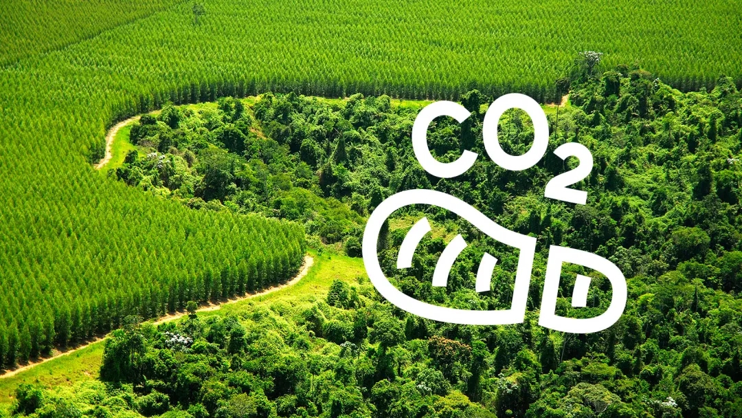 斯道拉恩索公布2024年商品浆碳足迹报告