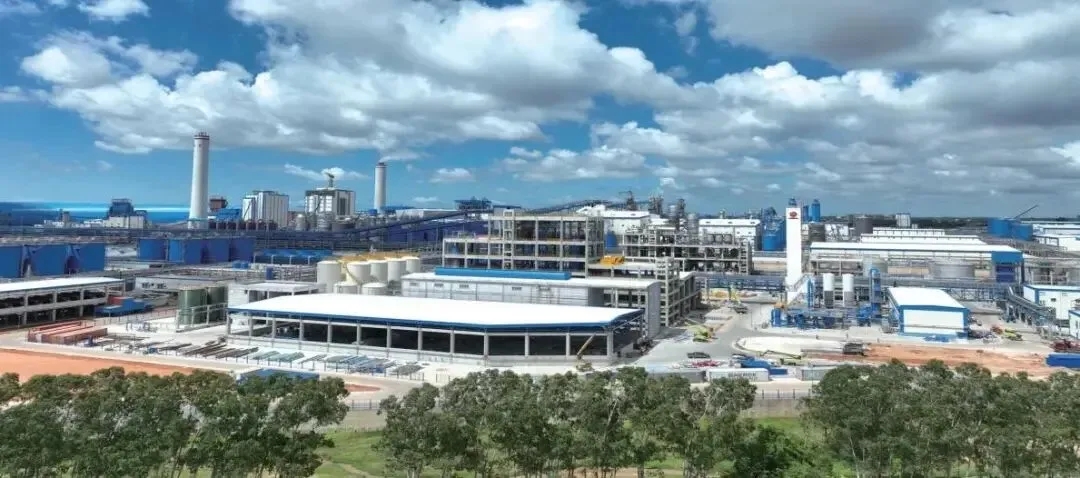 玖龙纸业在北海顺利拿下新一期工业用地