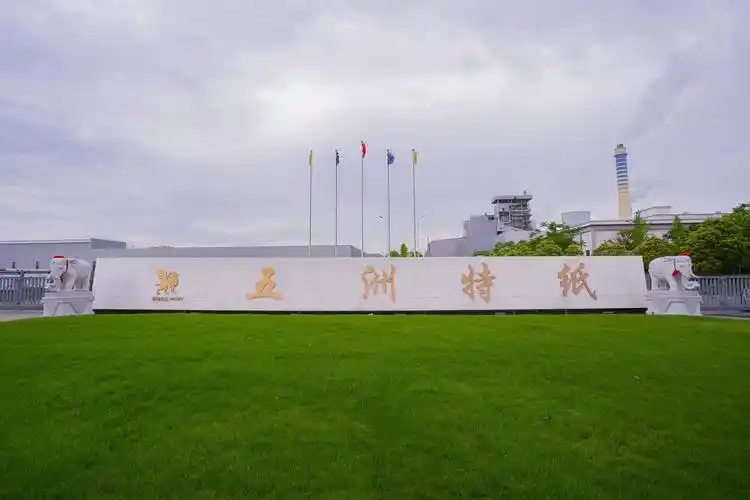 五洲特纸拟建总年产120万吨项目