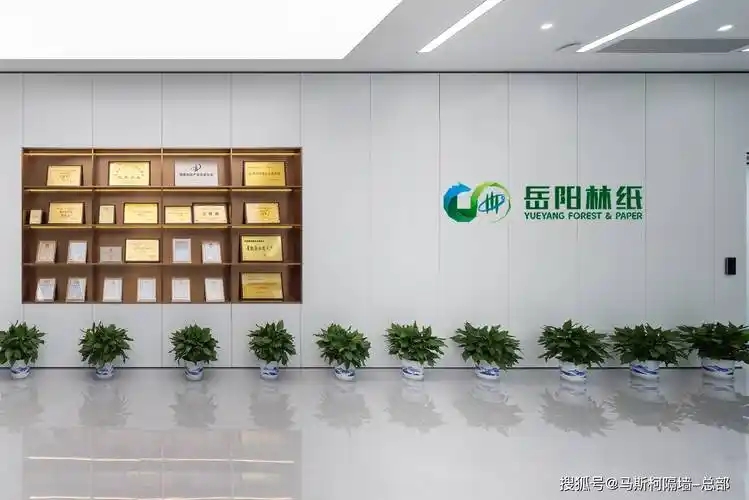 岳阳林纸收购骏泰科技后签大单，深化“林浆纸”一体化战略启新程