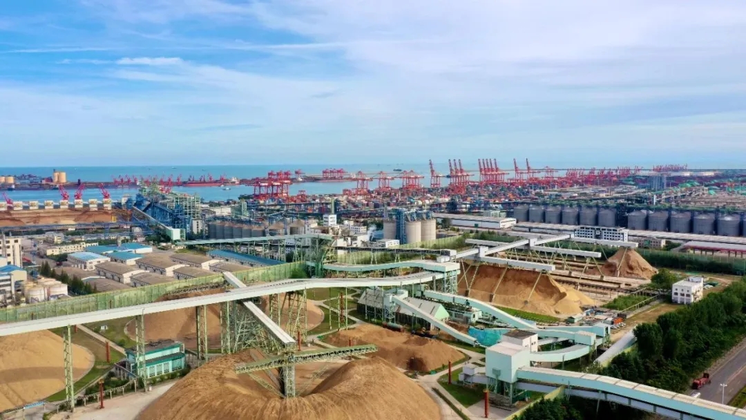 亚太森博落地山东首笔造纸行业转型金融融资