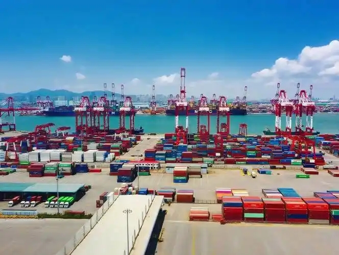 2025年巴西、智利对中国纸浆出口双双同比增长