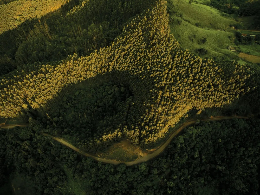 书赞桉诺公布2025年业绩：销量创纪录，运营效率持续提升