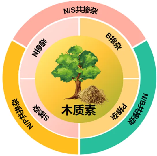 【学术论文】木质素基碳材料在超级电容器电极中的研究进展：杂原子掺杂与性能优化