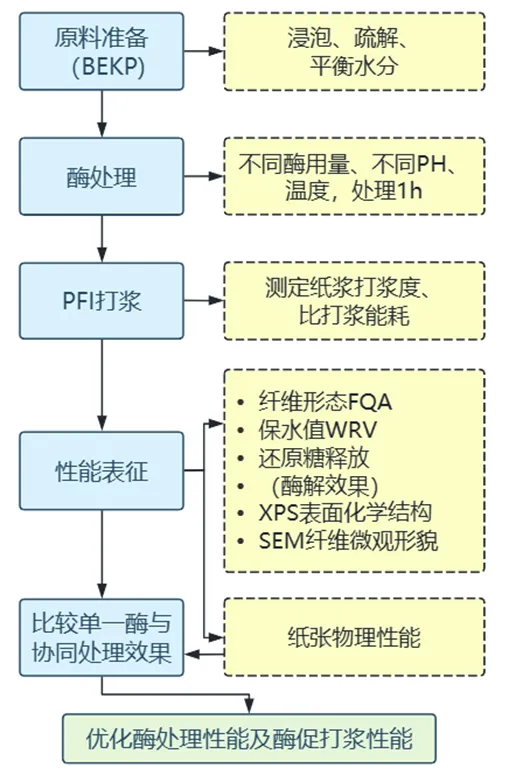 【学术论文】天津科技大学李群教授团队：酶促协同预处理对漂白桉木浆打浆性能的影响机制研究