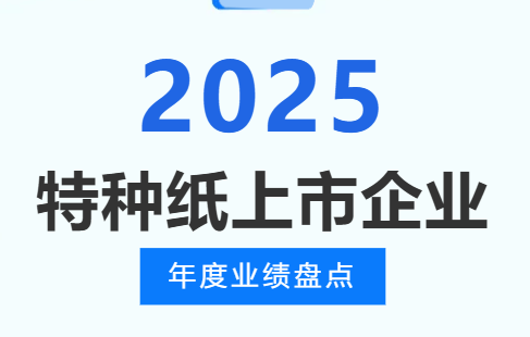 2025年特种纸上市企业年度业绩盘点