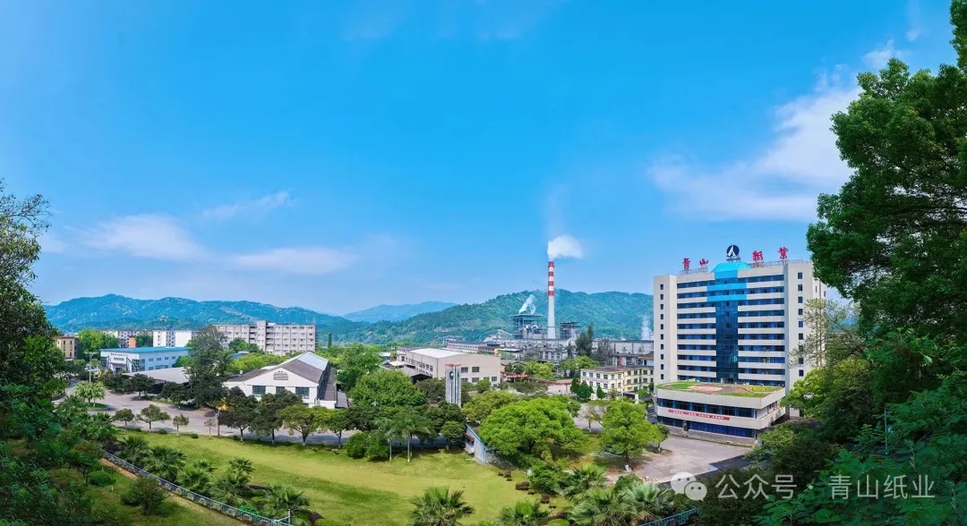 青山纸业——绿色制浆低碳造纸，共筑美丽中国