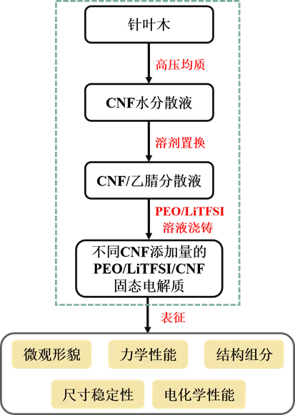 【学术论文】华南理工大学杨仁党团队：纤维素纳米纤丝增强聚环氧乙烷基固态电解质的制备及性能研究